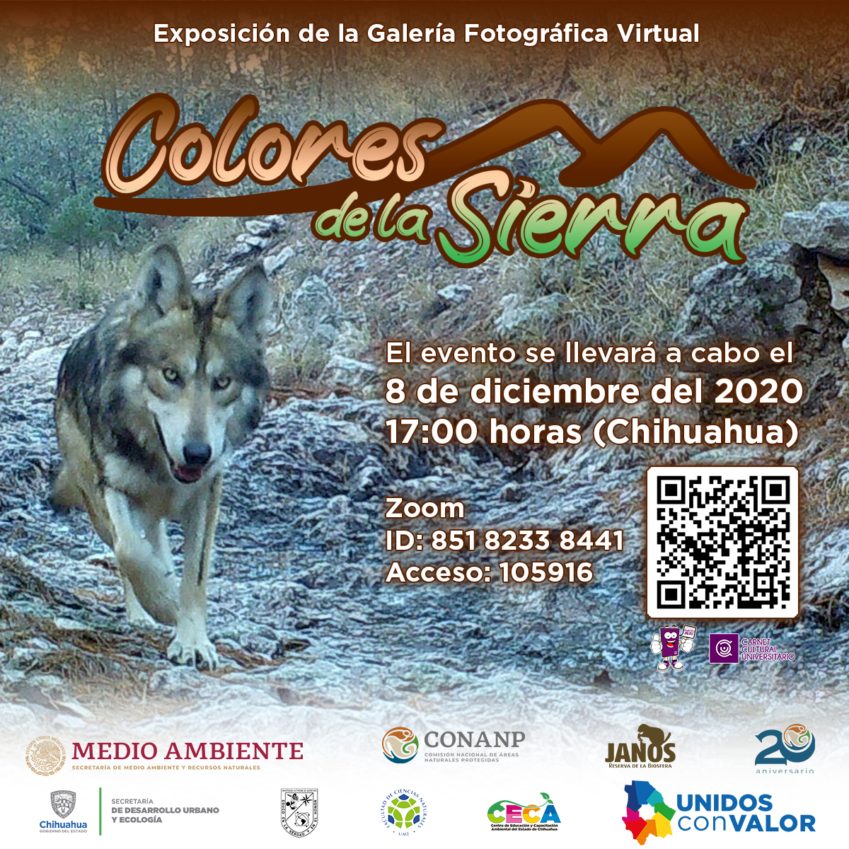Invitan a la exposición virtual “Colores de la Sierra”