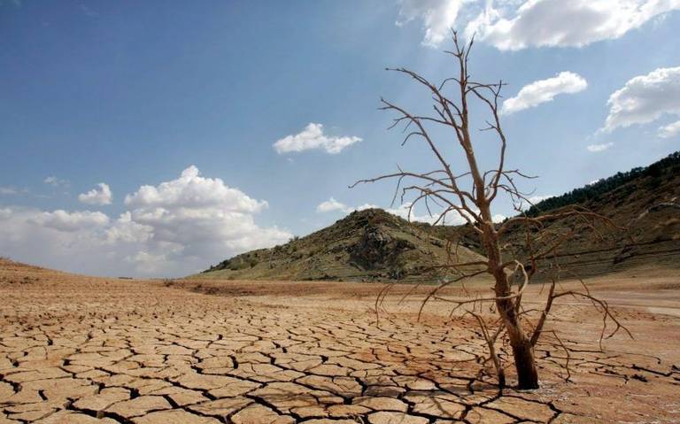 Declaran zona de desastre a 48 municipios de Chihuahua por sequía