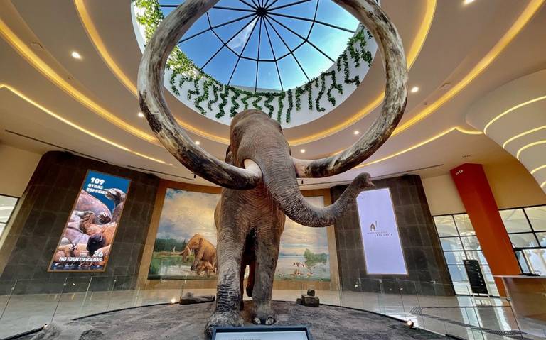 Listo el santuario de mamut en el AIFA