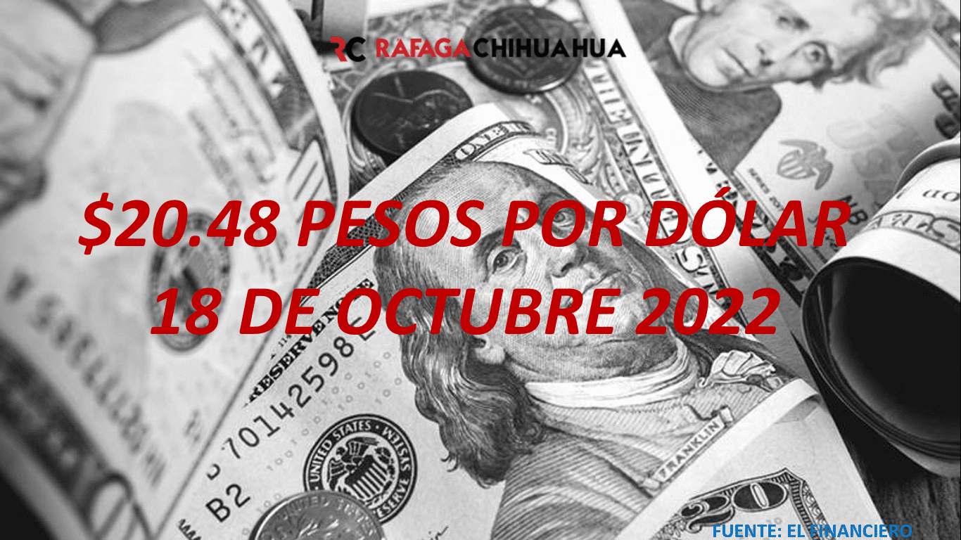 Precio del dólar hoy 18 de octubre de 2022