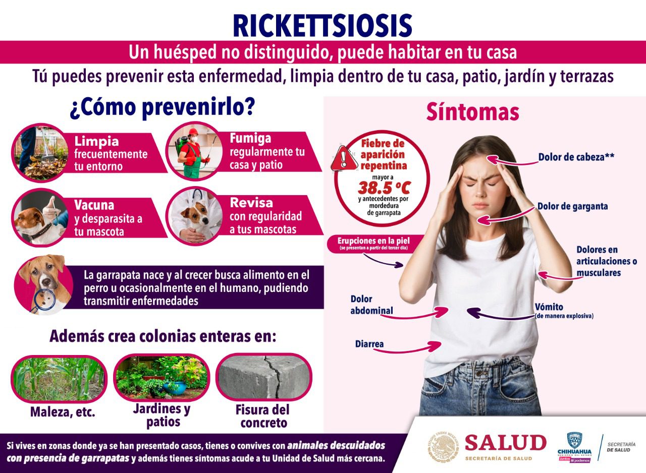 Emite Secretaría de Salud medidas preventivas contra la rickettsiosis