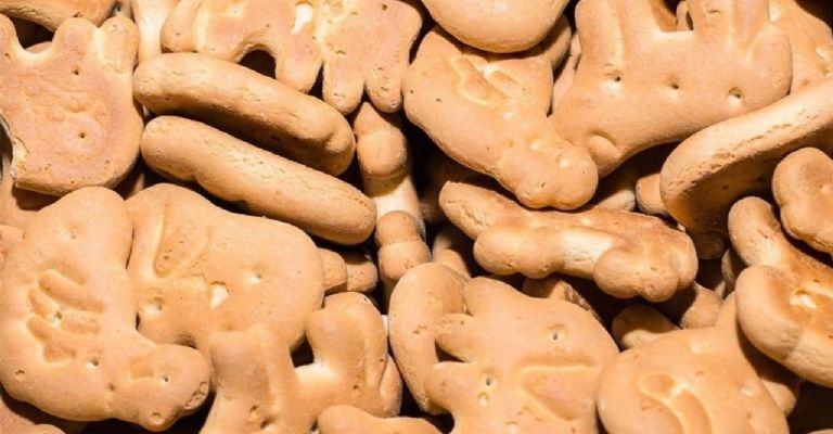 Estudio de la Profeco revela qué tan dañinas son las galletas de animalitos