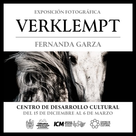 Invitan a exposición “Verklempt” en el Centro de Desarrollo Cultural