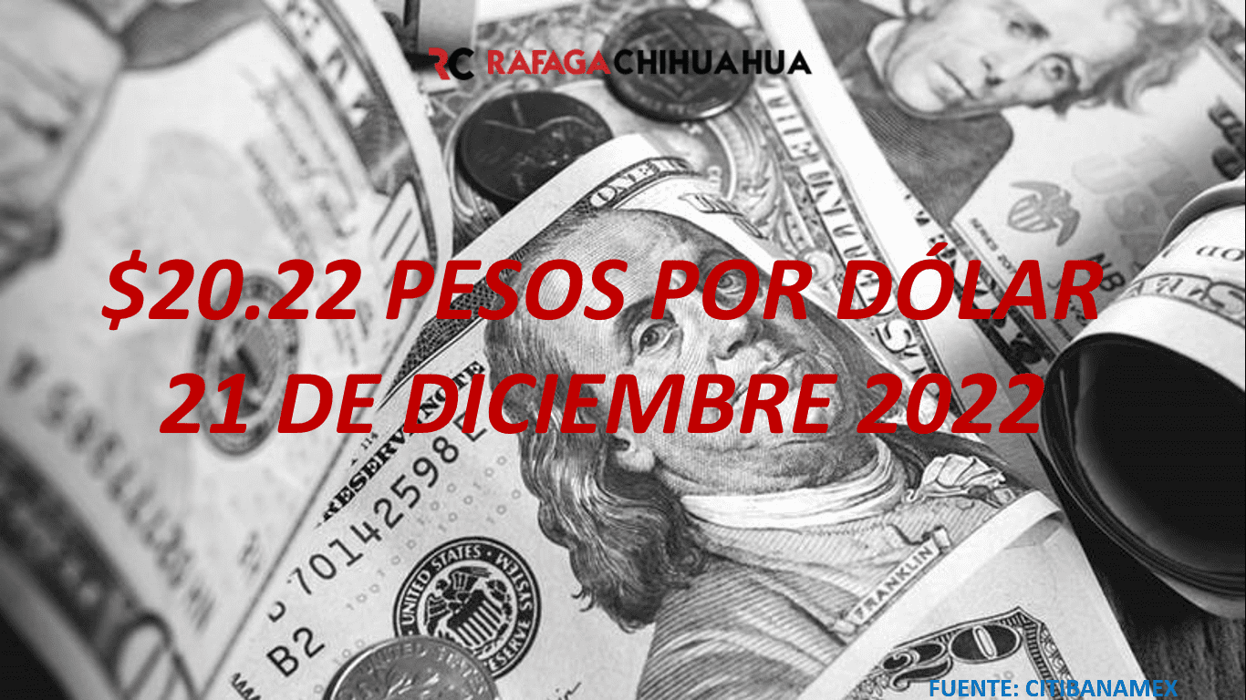 Precio del dólar abre en 20.22 pesos a la venta