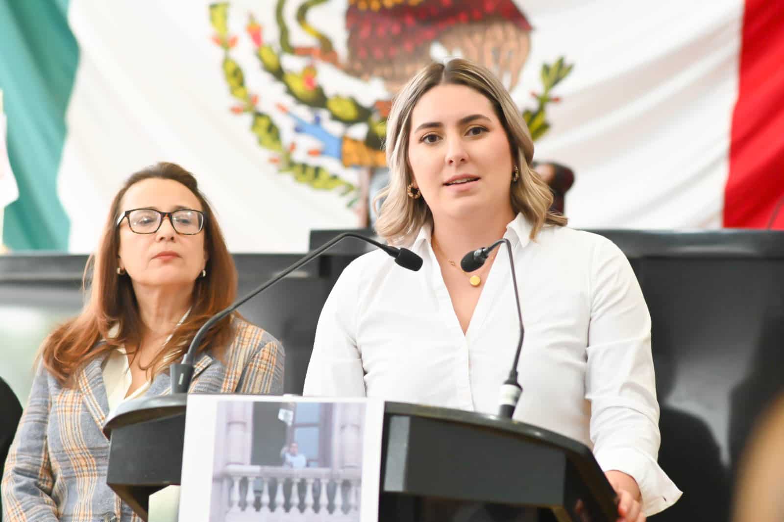 Son indignantes y vergonzosas las declaraciones de los panistas: Diputada América García