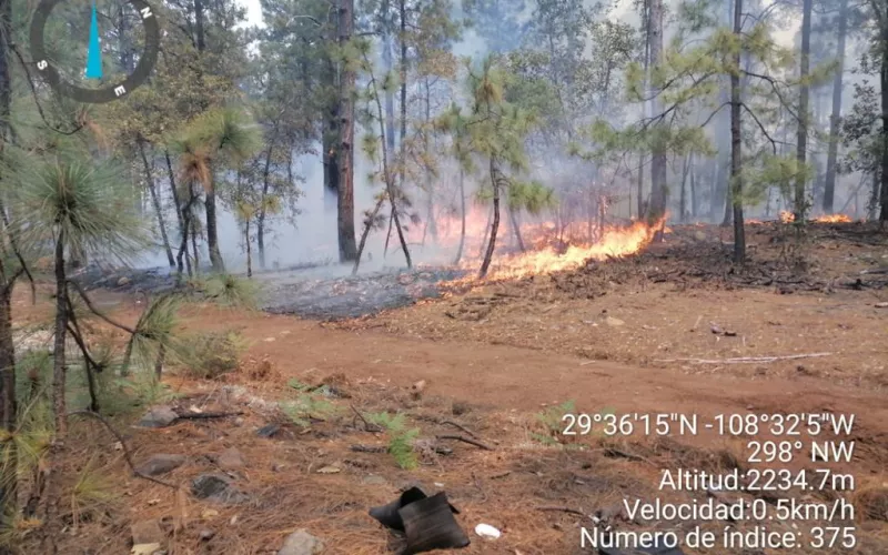 Presentan autoridades reporte de incendios forestales ocurridos en el municipio de Madera