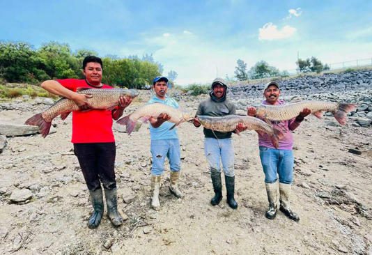 Reportan muerte de peces por bajo nivel de agua en presa La Requena en Tepeji; está al 1%
