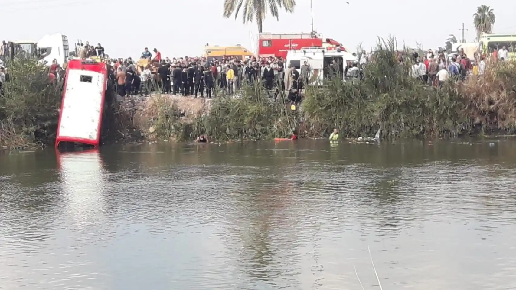Trágico accidente en Egipto: Cinco niños mueren tras caída de vehículo escolar al Río Nilo