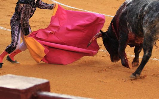 Durante Fiestas de Pamplona toro arremete contra torero