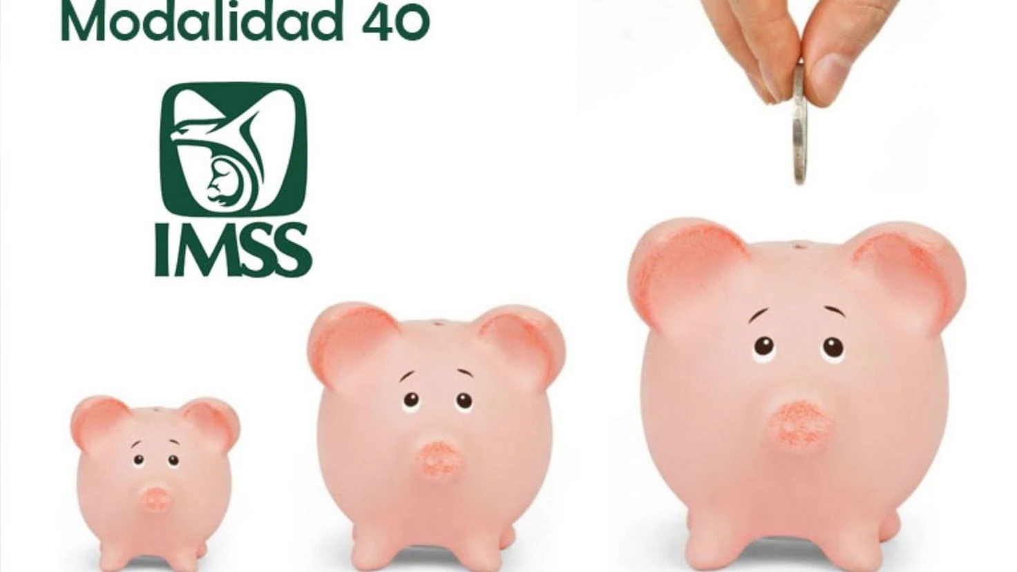 Modalidad 40 del IMSS: El trámite clave cuando terminas de pagar