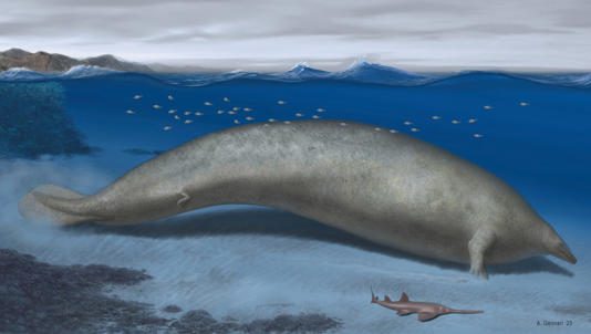 Encuentran fósil del animal más grande que se ha visto en la historia de la Tierra