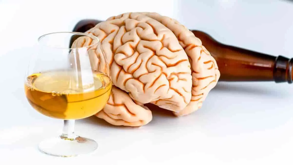 El cerebro se regenera tras 7 meses de no consumir alcohol