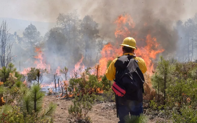 Suman más de 100 incendios forestales en la entidad en lo que va del año