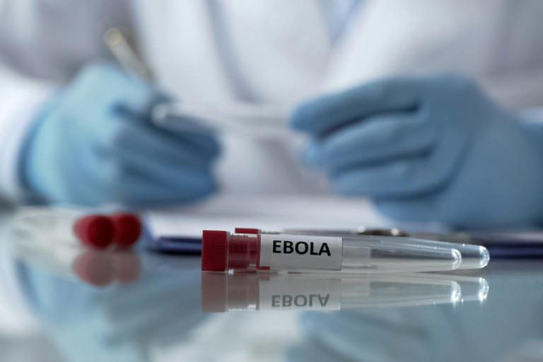 China crea virus “mutante” con alta mortalidad usando partes del virus el ébola