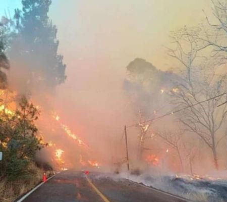 Aplican Plan DN-III por incendios en Tejupilco que han afectado 500 hectáreas en tres días