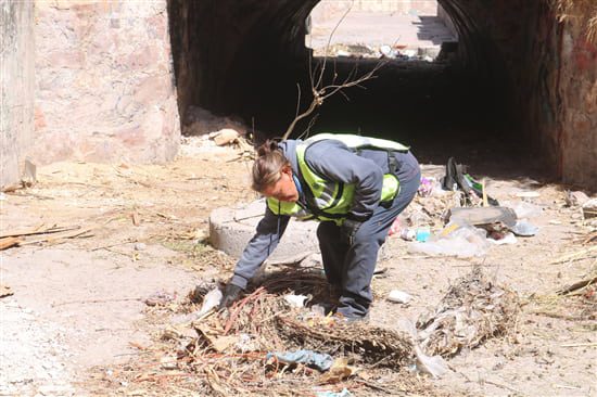 Trabajan en limpieza de arroyos al norte de la ciudad