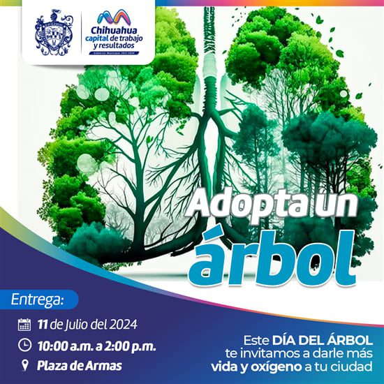 Dará Municipio en adopción árboles y plantas