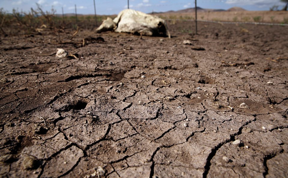 Chihuahua al Borde: 98% del estado en sequía severa y excepcional