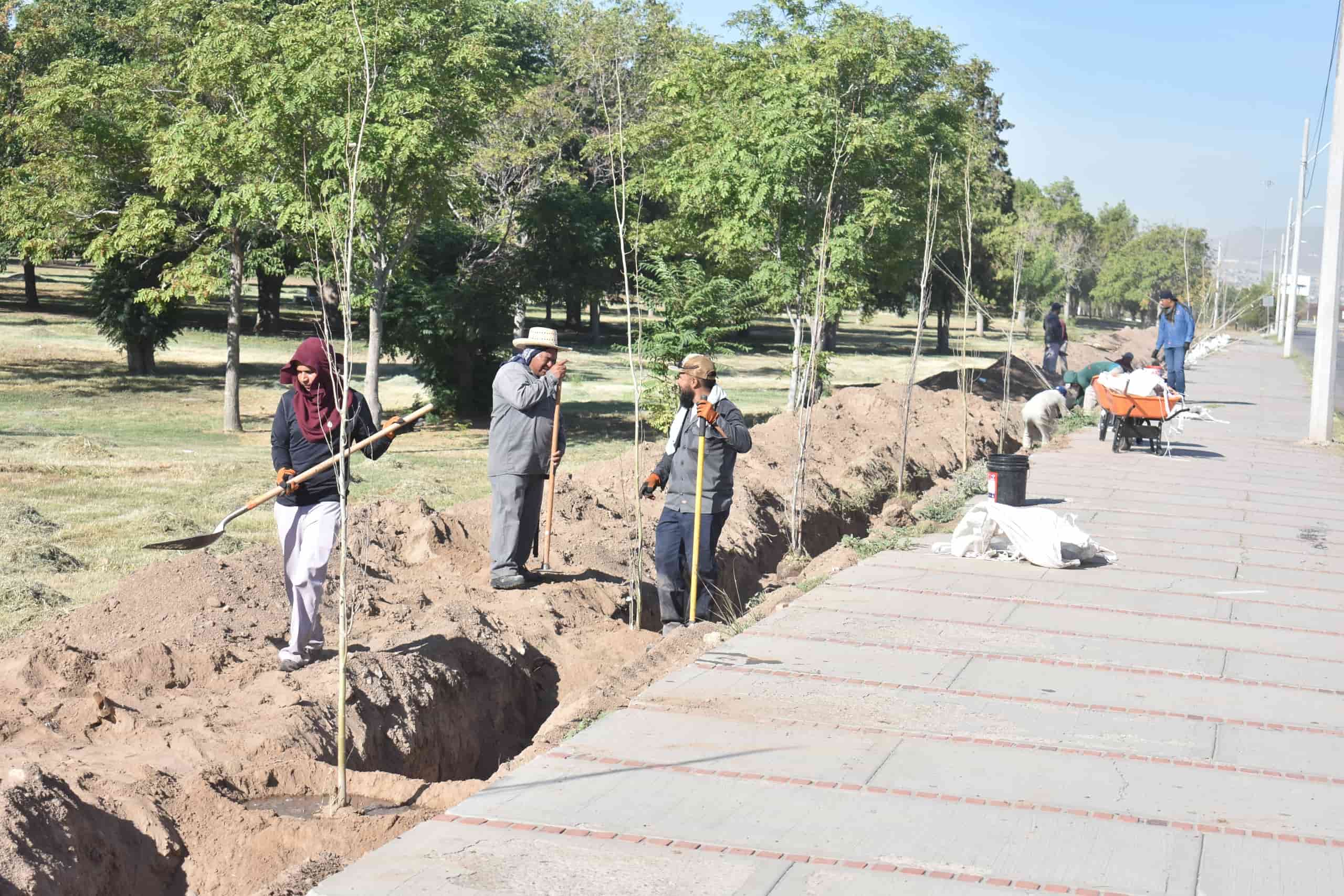 Reforestan parque El Chamizal