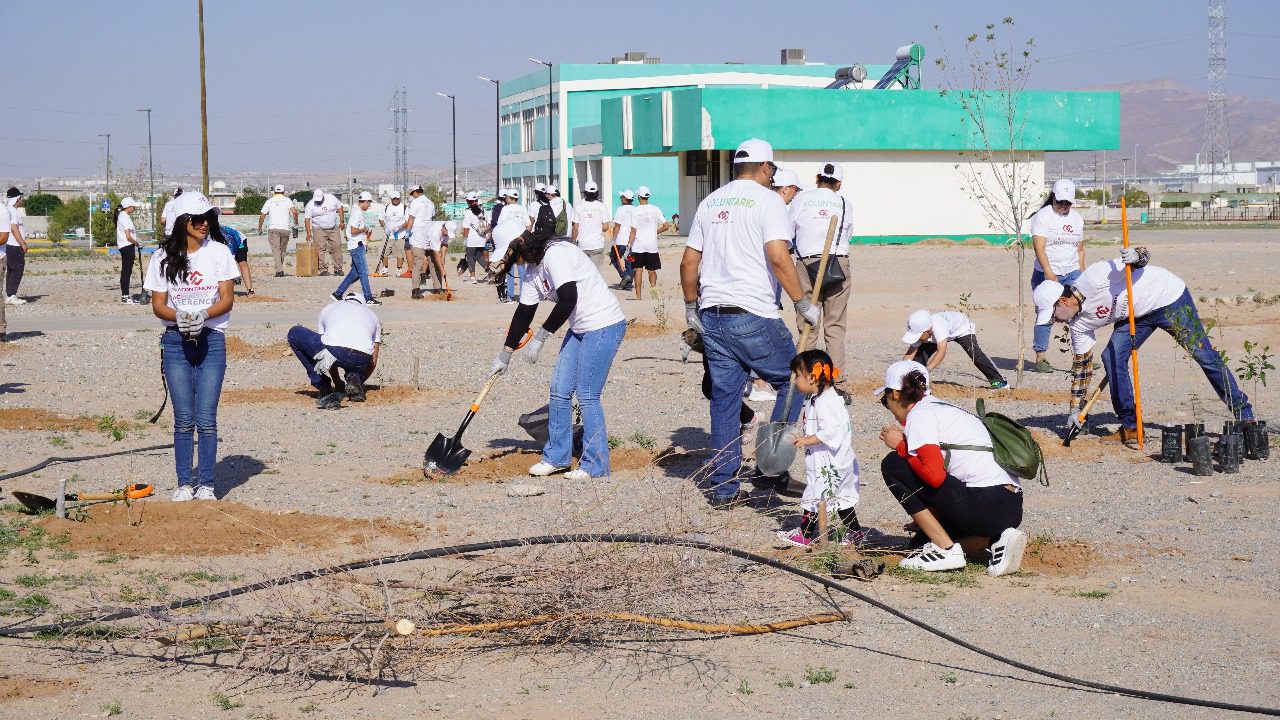 Reforesta Arca Continental instalaciones de la UTCJ con 100 árboles